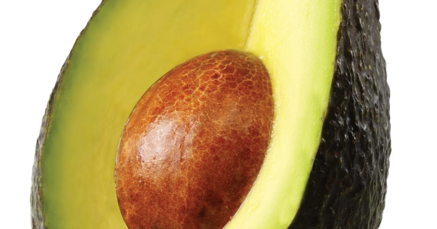 Avocado Oil