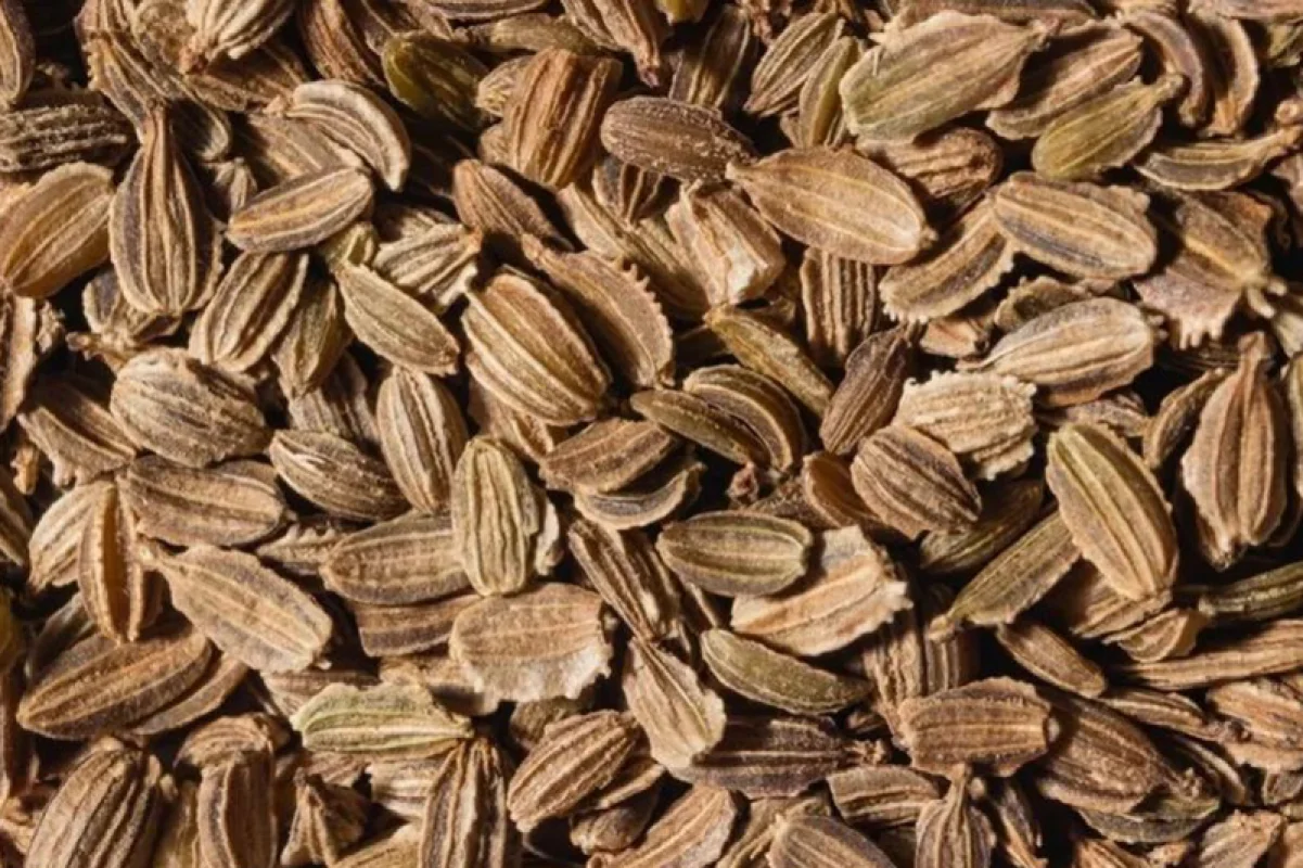 Carrot Seed Essential Oil
