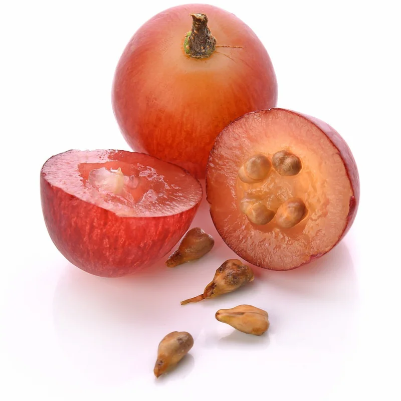 Grapeseed Oil